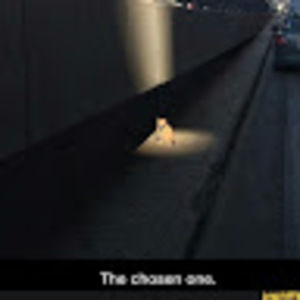 Meet your Posher, Micah